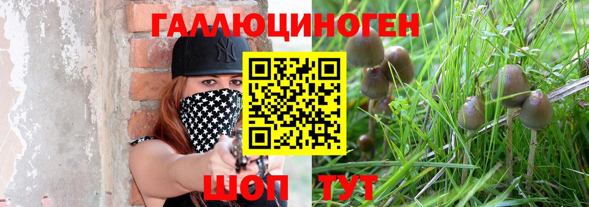 Курск  Галлюциногенные грибы мухоморы  Вход с VPN 
