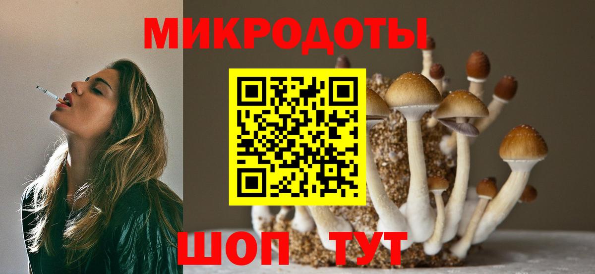 Псилоцибиновые грибы прущие грибы Курск